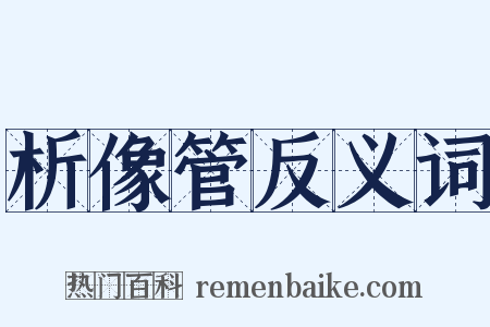 析像管反义词是什么意思的图片